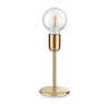Миниатюра фото настольная лампа ideal lux microphone tl1 ottone | 220svet.ru