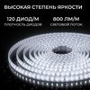 Миниатюра фото светодиодная лента apeyron 9,6w/m 120led/m 2835smd холодный белый 5m 00-443 | 220svet.ru