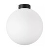 Миниатюра фото настенно-потолочный светильник lightstar globo 812037 | 220svet.ru