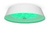 Миниатюра фото потолочный светильник freya cells fr10013cl-l24w | 220svet.ru
