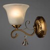 Миниатюра фото бра arte lamp cono a8391ap-1pb | 220svet.ru