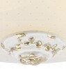 Миниатюра фото потолочный светильник arte lamp torta a7152pl-2wg | 220svet.ru