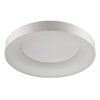 Миниатюра фото потолочный светодиодный светильник odeon light sole 4062/80cl | 220svet.ru