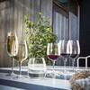 Миниатюра фото набор бокалов для красного вина bormioli rocco | 220svet.ru