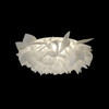 Миниатюра фото потолочный светильник loft it clizia 10594/530c white | 220svet.ru