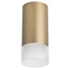 Миниатюра фото потолочный светильник lightstar rullo (214440+202431) r44031 | 220svet.ru