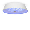 Миниатюра фото потолочный светильник freya cells fr10013cl-l24w | 220svet.ru