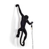 Миниатюра фото настенный светильник monkey lamp hanging left seletti 14921 | 220svet.ru