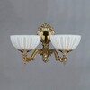 Миниатюра фото бра ambiente navarra 02228/2 wp | 220svet.ru
