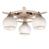 Миниатюра фото потолочная люстра omnilux oml-50517-03 | 220svet.ru