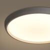 Миниатюра фото потолочный светильник с пультом ду freya obelle fr6211cl-l24w | 220svet.ru
