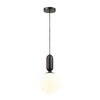 Миниатюра фото подвесной светильник odeon light okia 4668/1 | 220svet.ru