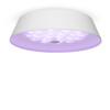 Миниатюра фото потолочный светильник freya cells fr10013cl-l24w | 220svet.ru