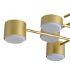 Миниатюра фото светильник потолочный lumion dizzy 8404/8c золото/черный | 220svet.ru
