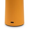 Миниатюра фото настольная лампа аккумуляторная freya mushroom fr6109tl-l4or | 220svet.ru