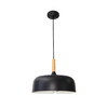 Миниатюра фото подвесной светильник arte lamp kayla a7102sp-1bk | 220svet.ru
