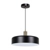 Миниатюра фото подвесной светильник arte lamp skat a7152sp-1bk | 220svet.ru