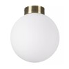 Миниатюра фото настенно-потолочный светильник lightstar globo 812021 | 220svet.ru