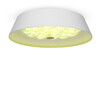 Миниатюра фото потолочный светильник freya cells fr10013cl-l24w | 220svet.ru