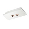 Миниатюра фото потолочный светодиодный светильник loft it architect ol1072-wg/2 | 220svet.ru