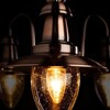 Миниатюра фото подвесная люстра arte lamp fisherman a5518lm-3rb | 220svet.ru