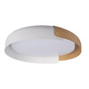 Миниатюра фото потолочный светильник loft it coin 10198 white | 220svet.ru