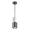 Миниатюра фото подвесной светильник odeon light duetta 3834/1 | 220svet.ru