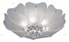 Миниатюра фото потолочный светильник lightstar lobo 804020 | 220svet.ru