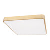 Миниатюра фото потолочный светильник loft it flims 10228/d | 220svet.ru