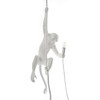 Миниатюра фото подвесной светильник monkey lamp ceiling | 220svet.ru