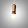 Миниатюра фото подвесной светильник imperium loft sash 314541-26 | 220svet.ru
