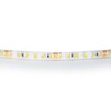 Миниатюра фото светодиодная влагозащищенная лента дневной белый lightstar 12w/m 120led/m 5m 420854 | 220svet.ru