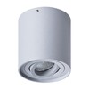 Миниатюра фото потолочный светильник arte lamp falcon a5645pl-1gy | 220svet.ru