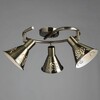 Миниатюра фото спот arte lamp cono a5218pl-3ab | 220svet.ru