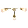 Миниатюра фото потолочная люстра escada aquilegia 1100/3p gold | 220svet.ru