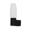 Миниатюра фото подсветка для зеркал arte lamp aqua-bastone a1209ap-1bk | 220svet.ru