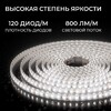 Миниатюра фото светодиодная лента apeyron 9,6w/m 120led/m 2835smd дневной белый 5m 00-442 | 220svet.ru