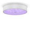 Миниатюра фото потолочный светильник freya cells fr10011cl-l24w | 220svet.ru