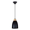 Миниатюра фото подвесной светильник toplight leah tl0724h-2b | 220svet.ru