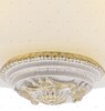 Миниатюра фото потолочный светильник arte lamp torta a7102pl-2wg | 220svet.ru