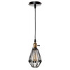 Миниатюра фото подвесной светильник loft it holder loft2009/1 | 220svet.ru