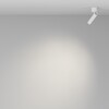 Миниатюра фото спот поворотный focus t c141cl-l125-6w4k-w | 220svet.ru