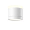Миниатюра фото потолочный светильник maytoni pauline c120cl-gx53-w | 220svet.ru