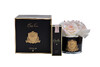Миниатюра фото диффузор five rose ivory white спрей charente rose 10мл garda decor 96cn-r60100 | 220svet.ru