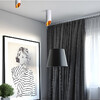 Миниатюра фото потолочный светильник imperium loft lamps 194971-26 | 220svet.ru