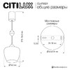 Миниатюра фото подвесной светильник citilux nort cl475021 | 220svet.ru