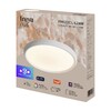 Миниатюра фото потолочный светильник с пультом ду freya obelle fr6211cl-l24w | 220svet.ru
