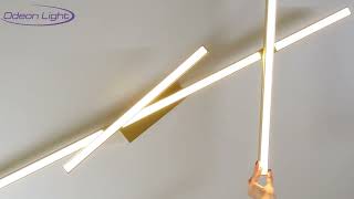 Миниатюра фото потолочный светильник odeon light tao 4367/50cl черный | 220svet.ru